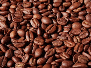Coffee cup and coffee beans on the table
