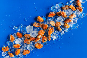 Fototapeta na wymiar Close-up of frozen peeled mussel meat on crushed ice on blue background