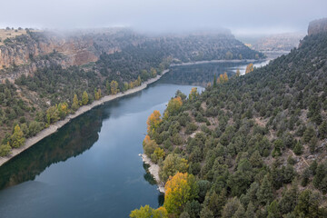 Fototapeta na wymiar meander, Las Hoces del Río Duratón Natural Park, Segovia province, Spain