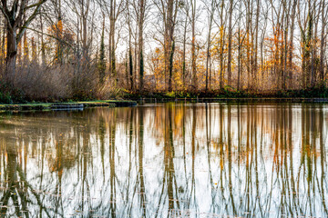 Lake with mirror reflection on the water surface of the surrounding bare trees, a slightly sunny winter day in Sweikhuizen, South Limburg, the Netherlands