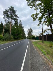 Fototapeta premium road in the forest