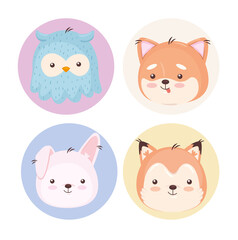 Kawaii animals cartoons symbol collection design, Cute character and nature theme Vector illustration