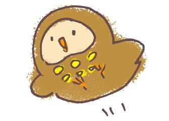 An owl printed circles called Earl