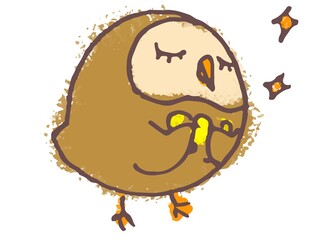 An owl printed circle called Earl