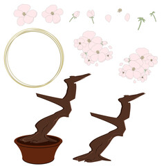 Cherry sakura blossom set, tree and gold rings. Flowers and petals. Pink asian vector art.