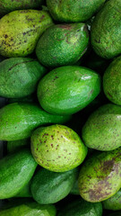 Avocado with fresh green color in a traditional market, Indonesia