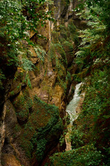 waterfall in the forest