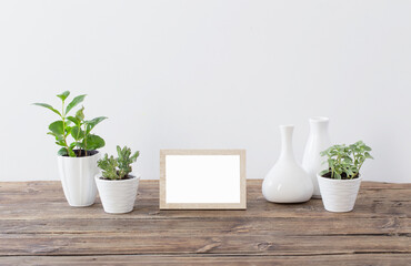 green plants with wooden frames on old wooden shelf