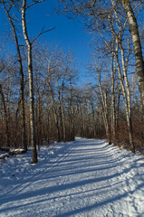 A Snowy Hiking Trail near the River Valley