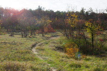 The woods near Feodosia, Eastern Crimea.