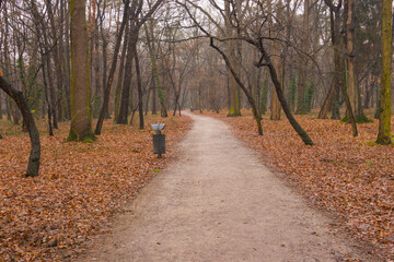 Park Zachodni we Wrocławiu. © boguslavus