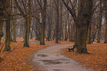 Naklejka premium Park Zachodni we Wrocławiu.