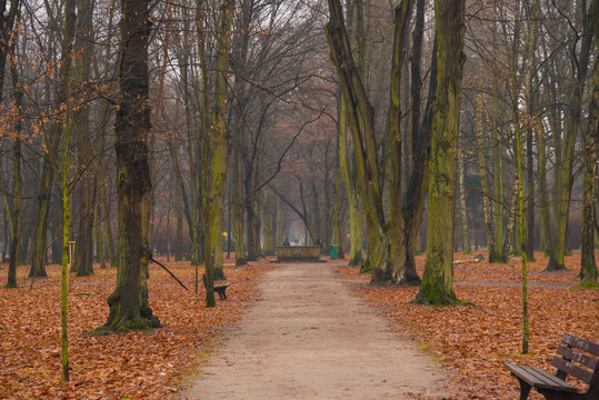 Park Zachodni we Wrocławiu.