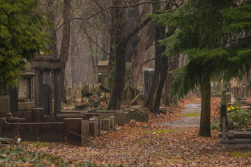Stary cmentarz żydowski we Wrocławiu przy ulicy Lotniczej