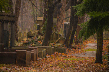 Stary cmentarz żydowski we Wrocławiu przy ulicy Lotniczej - obrazy, fototapety, plakaty