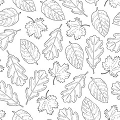 Seamless pattern from outline leaves on a white background. Hand drawing. Vector illustration.