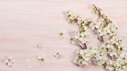 Plum flowers on a wooden background