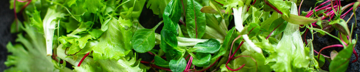 fresh salad leaves mix micro greens, juicy snack ready to cook and eat on the table healthy meal outdoor top view copy space for text food background rustic image keto or paleo