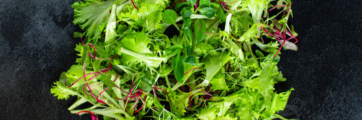 fresh salad leaves mix micro greens, juicy snack ready to cook and eat on the table healthy meal outdoor top view copy space for text food background rustic image keto or paleo