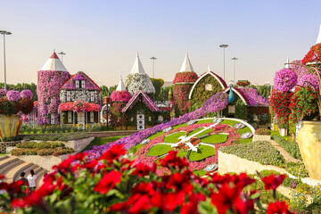 Dubai Miracle Garden is een bloementuin met een grote verscheidenheid aan bloemen. Verenigde Arabische Emiraten Dubai maart 2019