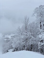 Beautiful snowing day at the Stowe Mountain Ski resort ski trails - December 2020