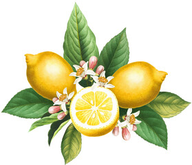 Yellow citrus arrangement with lemon fruits, slices, blossoms and green leaves