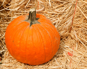 pumpkins on haystack
