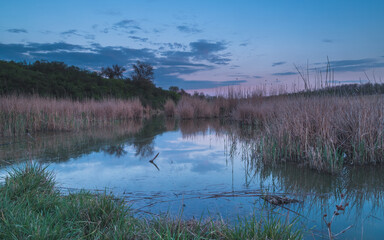 sunset on the river, river, reeds