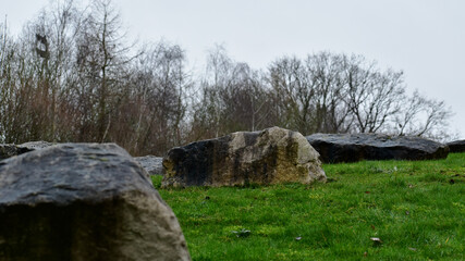 Boulders on a hill by the wood, England 