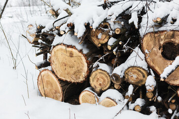 Chopped wooden logs prepared for winter. Timber for heating a country house