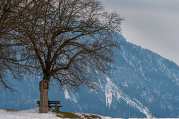 Baum und Bank im Winter vor Bergen mit Schnee