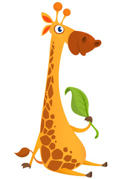 Cartoon giraffe character. Vector illustration funny giraffe eating a leaf and smiling.