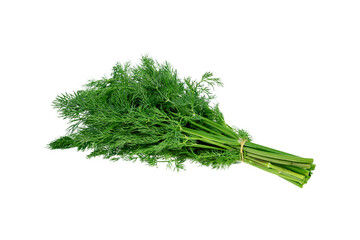 Fresh green dill close up isolated on white