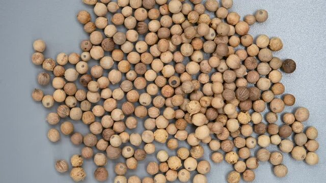 top angle pan view HuJiao or Piperis Fructus or Black Pepper Fruit