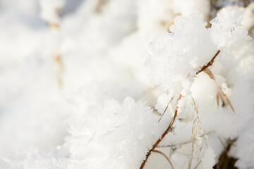 Hoarfrost background texture. Fresh ice and snow winter backdrop with snowflakes and mounds. Seasonal wallpaper. Frozen water geometrical shapes and figures. Cold weather atmospheric precipitation.