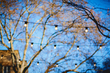street garland of electric light bulbs against the background of the sky and trees