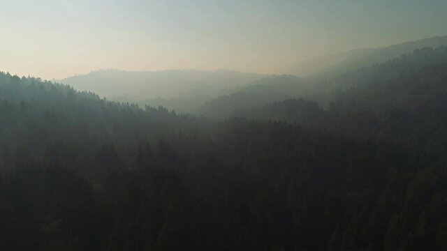 Aerial flying over forest with mist, fog, or haze in the sky. Slow moving forward shot with drone. Redwood forest in California in the hills. 