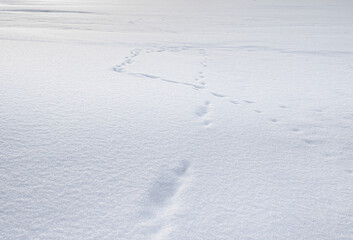 White snow abstract texture background. Footprints of shoes on white snow. Snow dune.