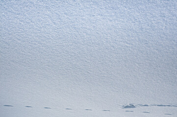 White snow abstract texture background. Footprints of shoes on white snow. Snow dune.