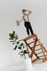 a guy stands on a wooden decorative ladder in a shirt watering a growing tree in a white pot from a garden watering can, an angle from the bottom