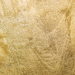 Fototapeta premium Golden background Gold foil surface texture