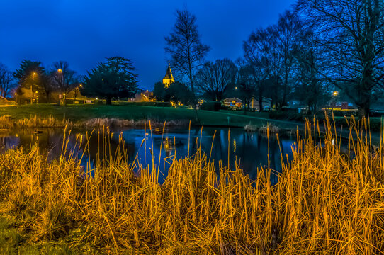 The bull reeds and beyond at dusk in Sanderstead, Croydon, UK in winter