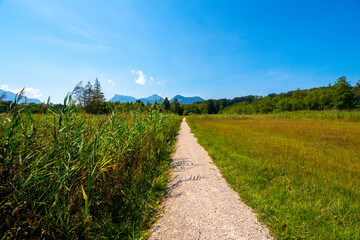Fototapeta na wymiar A hiking path leading through a green meadow in a Bavarian nature reserve near the Alps. Amazing scenery surrounded by green fields, blue sky and forests. Bärnsee, Aschau im Chiemgau, Bavaria, Germany