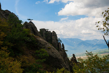 View on a green valley with mountain background