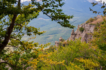 View on a green valley with mountain background