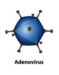 Adenovirus illustration. External structures of the adenovirus virion close up with a white background.