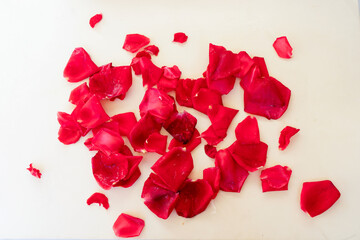Fototapeta na wymiar dark red roses on table
