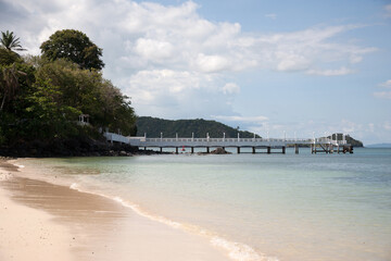 beach with trees and sea