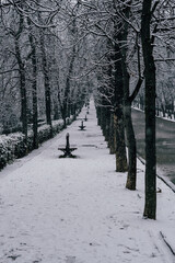 Retiro Park in Madrid with snow in the path and several benchs