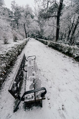 Retiro Park in Madrid with snow and a bench